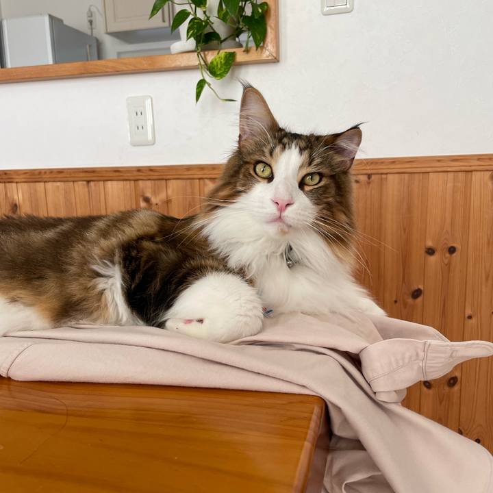 42e6a25c 6666 48df 8e7f afe01dfd3638 1664921035309