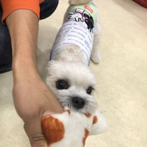 42e6c09a 30e5 4724 849b bf82bc2cd19f 1508501373633