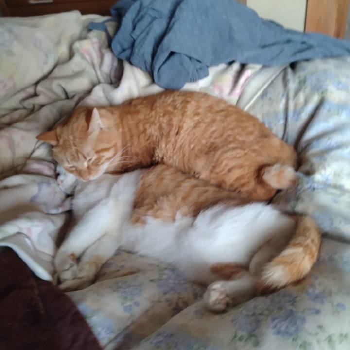 42e6e607 47bf 4bba a2e5 6e066a01c7c0 1738916131769