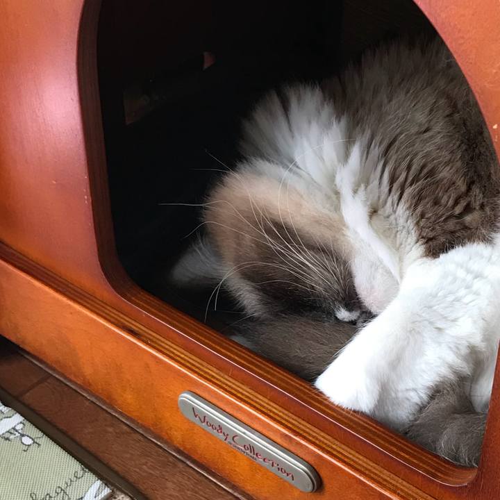 42e6e98e ec7b 4368 a343 ff7dc5592732 1513505018349