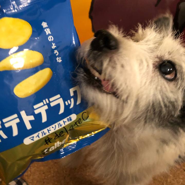 42e70900 b622 4a23 87e9 9cffc0027751 1601386061646