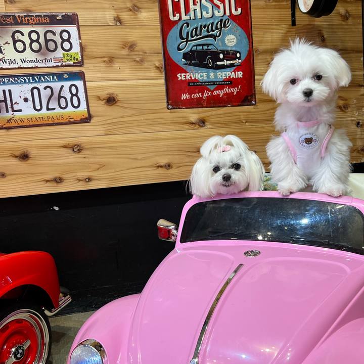 42e756ab 3d18 4e05 b8f6 8dd52f72f9fa 1714002948859