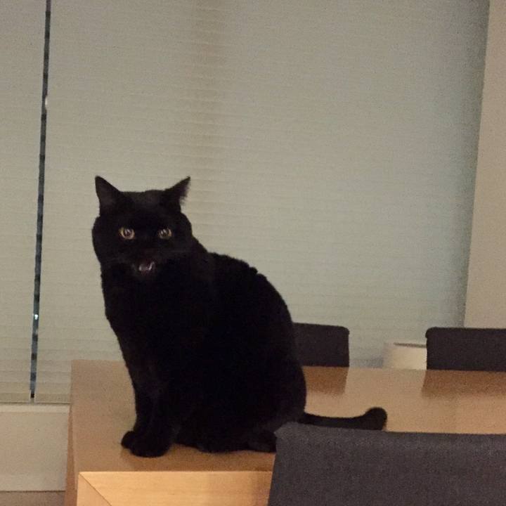 42e75c7c 0daa 4a5c b271 8d05d9d83512 1578743684932