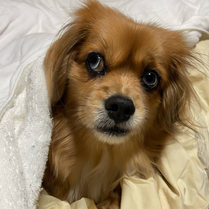 42e779a3 3688 4fa6 b0e2 73343cf66e37 1612302224184