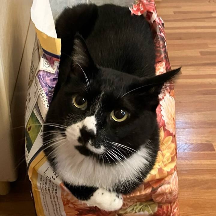 42e780c9 71af 4de2 9092 4fd519294f91 1728049599427