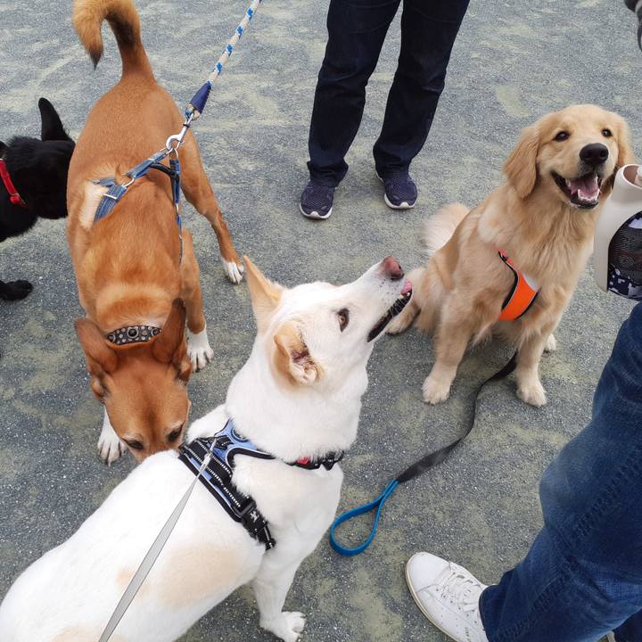 42e788f2 7735 4353 a44d 3fe8bef5fcc6 1652313938580