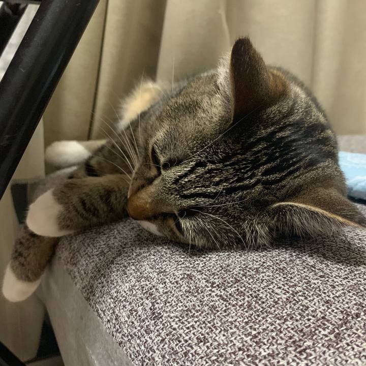 42e7afea 8547 489e 9288 0f8bdb566f19 1564983126528