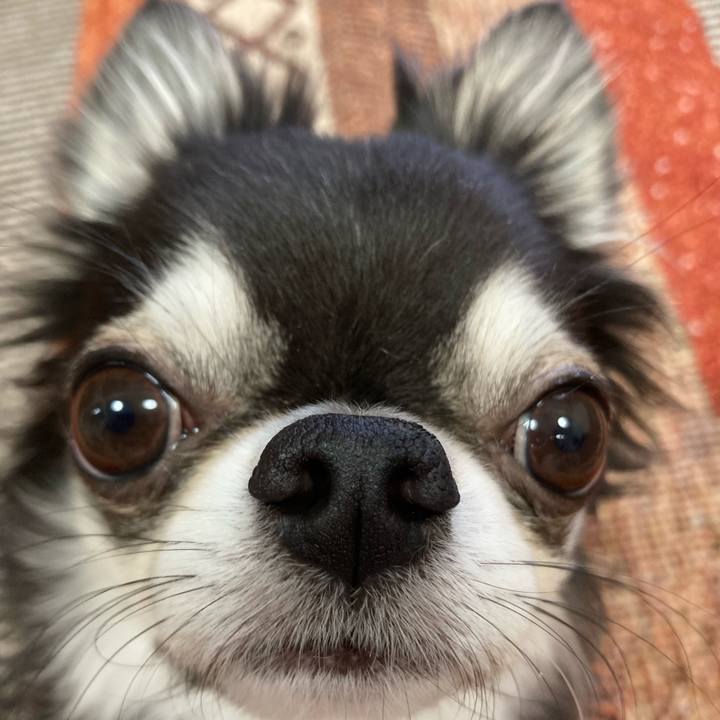 42e7ee67 8fdb 4e54 867d 498099c9ac34 1678575501916