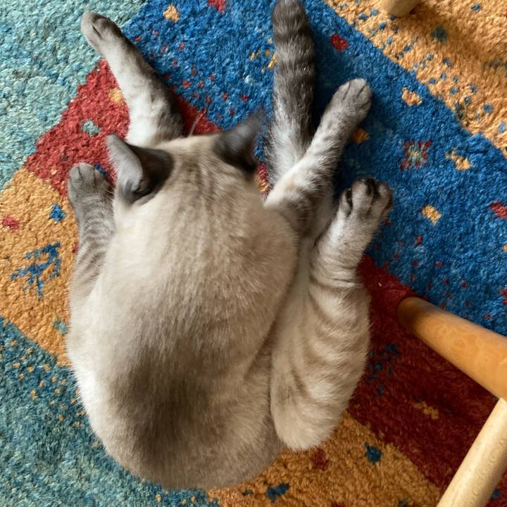 42e82158 9930 490f aabe a0b281b8b781 1752973341046