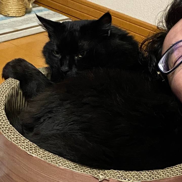 42e82610 dfff 44a9 8311 fb96200beee4 1610198980792