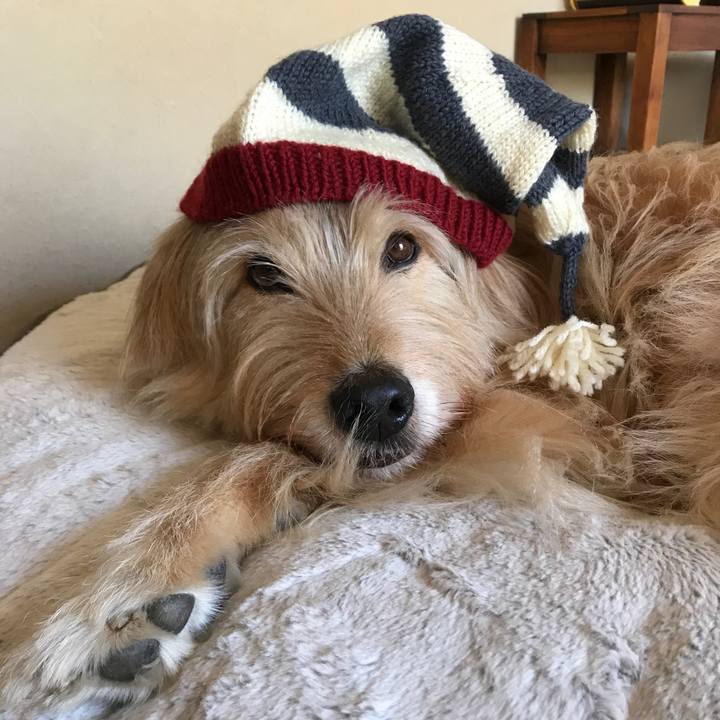 42e827c7 9f89 47de b10d 856073c619ae 1581242294330