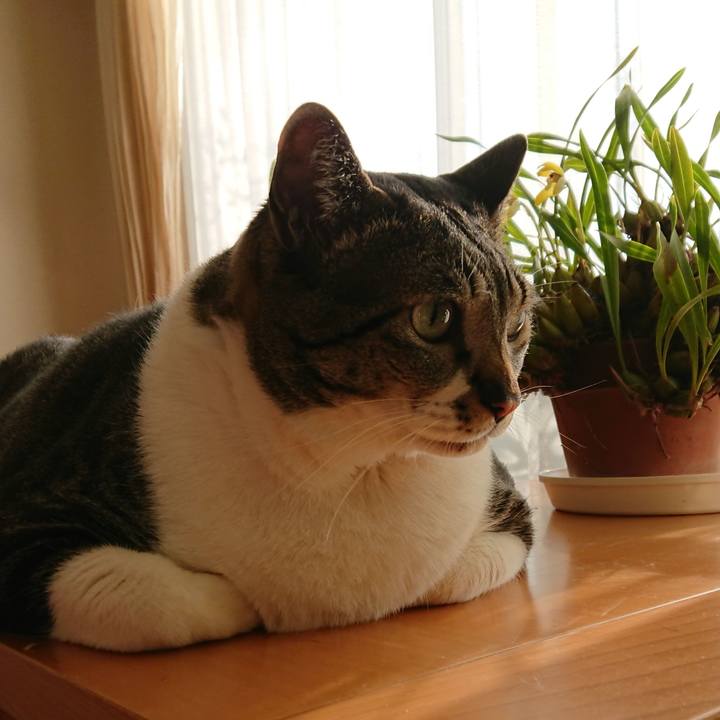 42e83911 6a17 4035 9f4f 5f141c99ecfa 1522102587696