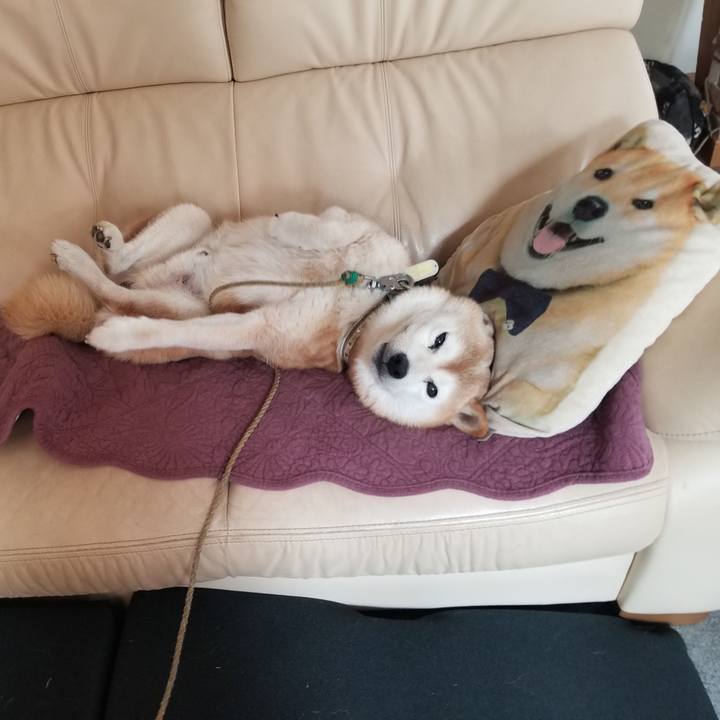 42e84540 c325 468d ab92 0b3aab366db5 1694487731777