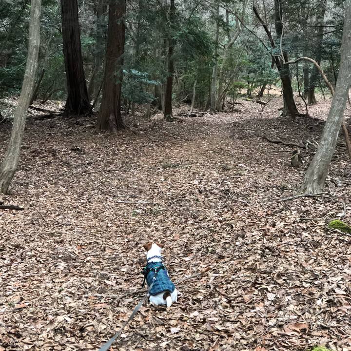 42e87592 e253 4101 8b1d 723215044c34 1547710020240