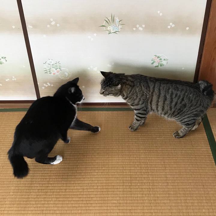 42e89760 0157 43b8 8d8e 48001a129b7e 1525923900473