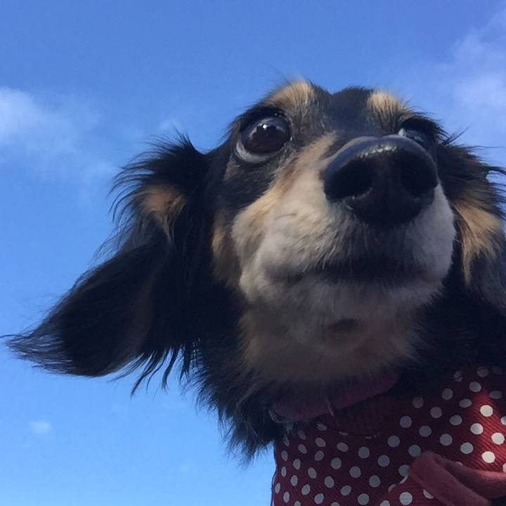 42e8c10c 4265 43df 8cd4 425883370dbf 1511049331311