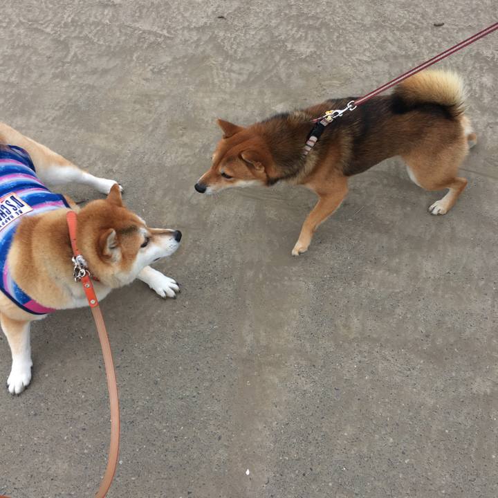 42e8cac4 b7b3 4c4f aecb 277b115327d5 1571194498018