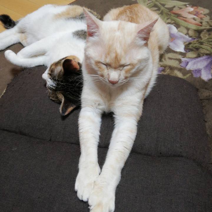 42e8cfba a94f 40f3 93e8 51914fe9e8de 1607512960144