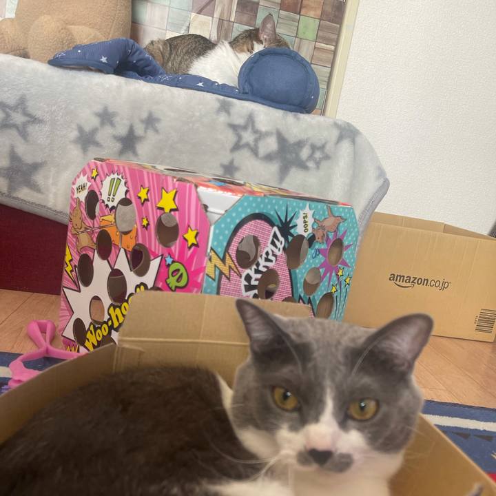 42e8d020 7641 4f7e 8a18 5a2cf62f2f3a 1634350388788