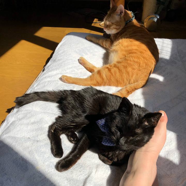 42e90009 f1d5 4a34 a26c 9d9eda625f13 1555115200142