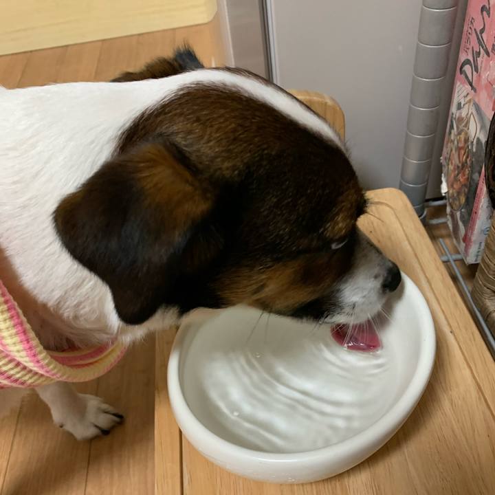 42e922a8 2bc3 40f4 9ce3 71ec134d6eab 1581410387478