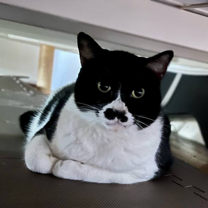 42e95905 d92b 4886 8d96 419f835bec70 1709449257990