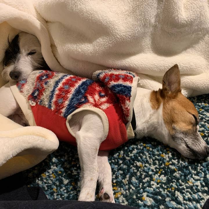 42e975a5 0556 4cda aae5 33659d5d9047 1578136086030