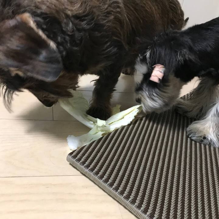 42e97f3d e648 42bc 9073 a66919c259c8 1552729474642