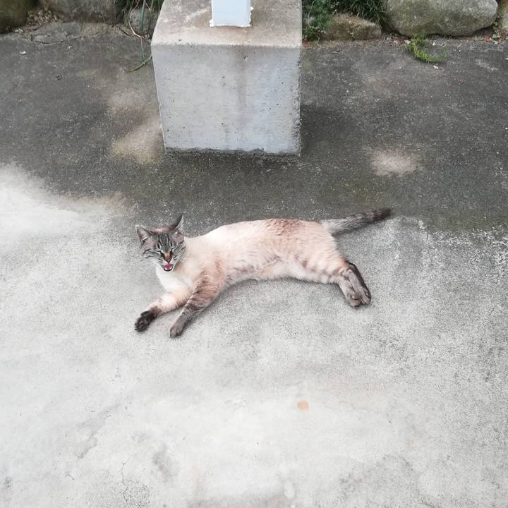 42e9ed18 0395 481e 9363 9718d06b6b07 1557637604120