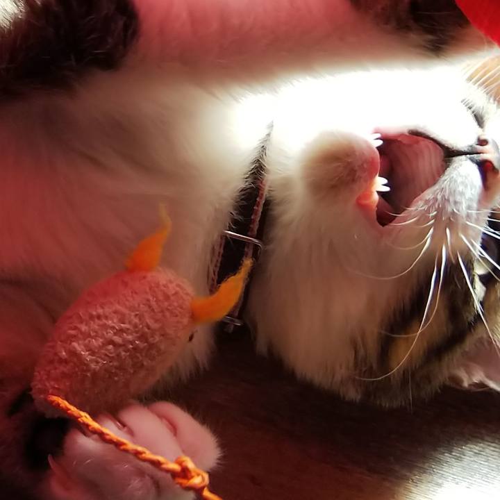 42e9f2a4 b87e 4fc9 96eb 79475e1a7fb0 1612583821708