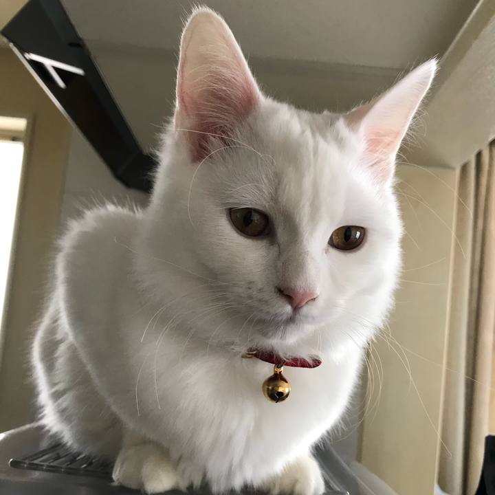 42ea2527 d4b4 4e32 88e1 8a2ee8071058 1514878277366