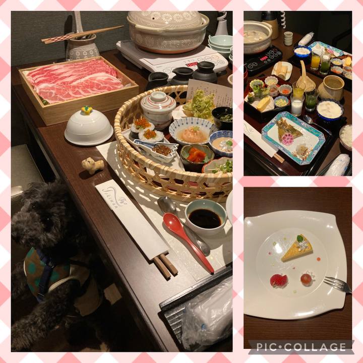 42ea2a40 0276 4b00 81bd d46d9a2bdcf6 1679321010954