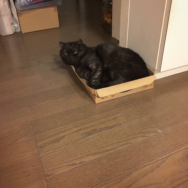 42eaab9b a5d0 412e b3b9 97aa07fa5365 1530140349258