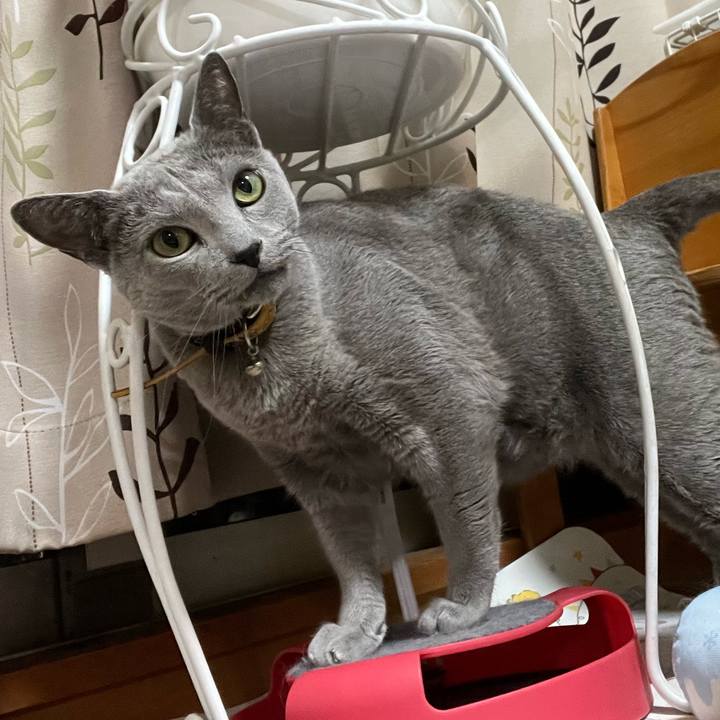 42eaae95 24a6 4842 839e 79be00fd316c 1730118644335