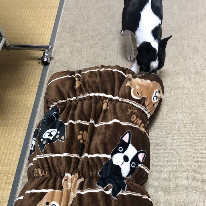 42ead67c dadc 44e3 9981 1530c977823a 1577422503288