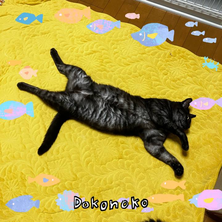 42eb1c30 07f5 4080 bbd8 28e521018112 1755558103379