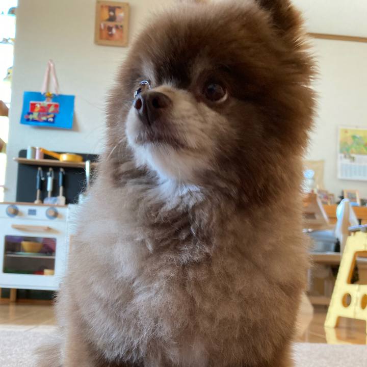 42eb2f9d bcdb 4357 8817 fa28c5df5b68 1652652424219