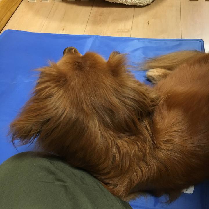 42eb3021 8ab5 4d99 af97 eb53b7f78cc4 1559917146920