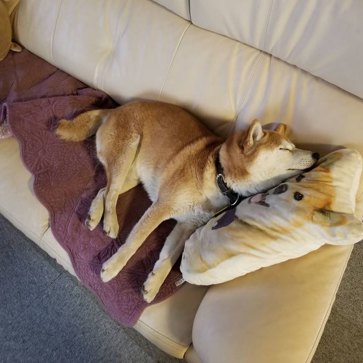 42eb5cfb 6eb4 493b 981f fd1af8f6c2c5 1617107882265