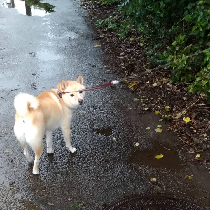 42eb600d fb43 4a26 9468 a8c4133616fe 1601083443837