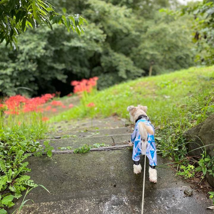 42eb6507 4cca 471e 973b b4927ec82777 1601100911815