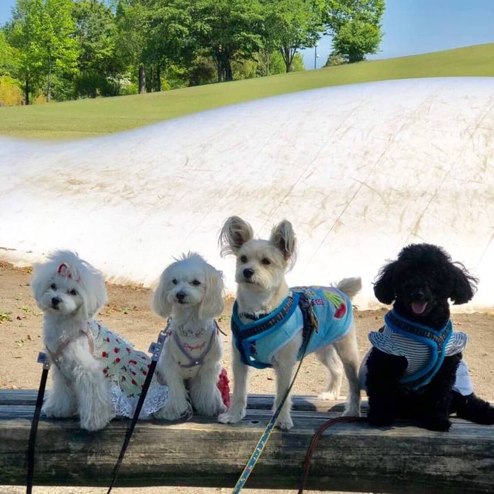 42eb7bcc 02e9 4f75 88d7 8aa0a02531ee 1557489359687