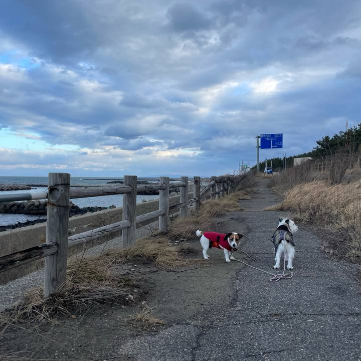 42eb7d65 7cac 4bd5 bc16 32fccbfd6df2 1675556293651