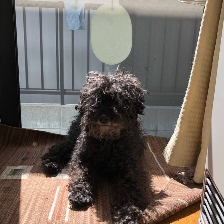 42ebaa3c b306 45aa b91e 5df6a7202f54 1524303923208