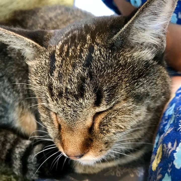 42ebd37f f01c 4252 8515 1f3f779d6106 1537419269958