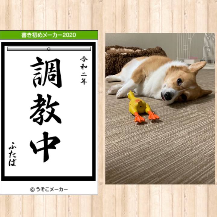 42ebde22 4584 4fd1 9841 097a2a47b179 1577933006290