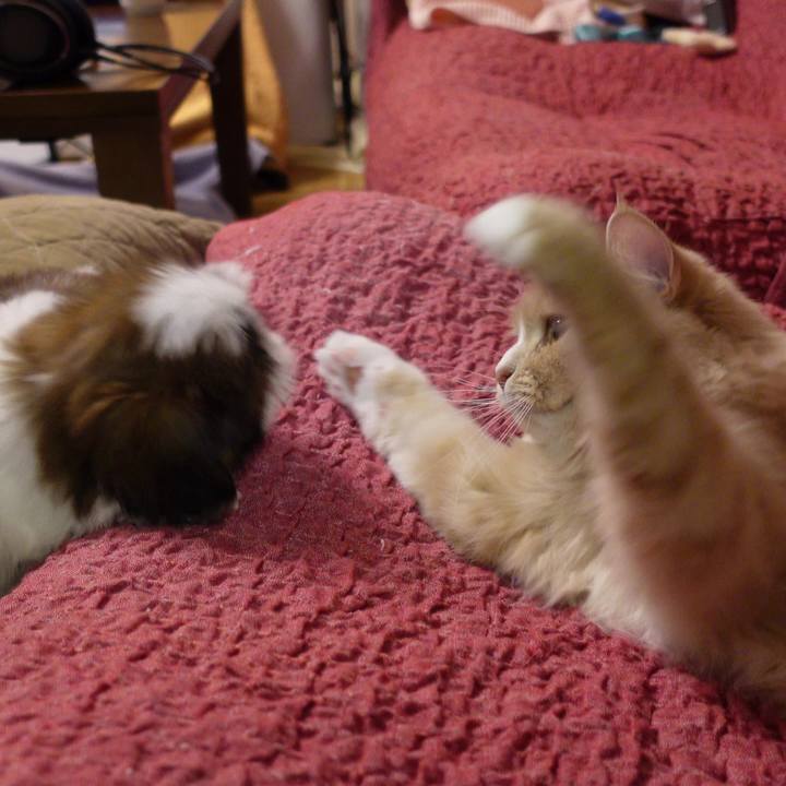 42ebdeaf 7957 4c0f af0d 3aa0ef6f0a1b 1611385854897