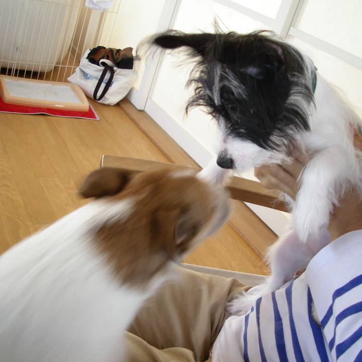 42ebf19f 257f 4473 bb59 3c20342be920 1528429489288