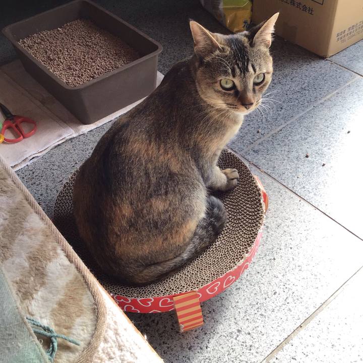 42ec013a 2cc9 41b6 8153 0910f58f19d5 1580348502587