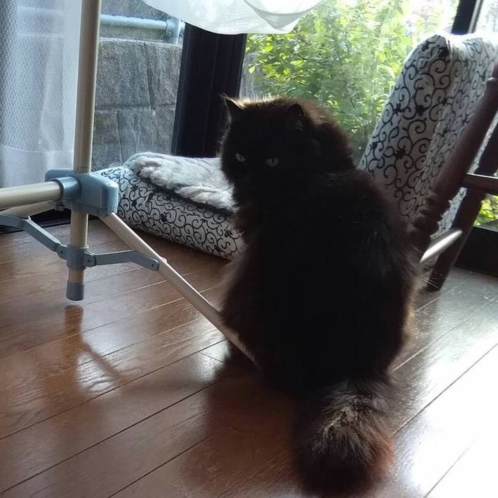 42ec035a 6172 44f7 9009 5ae9aaa2de9b 1523671286471